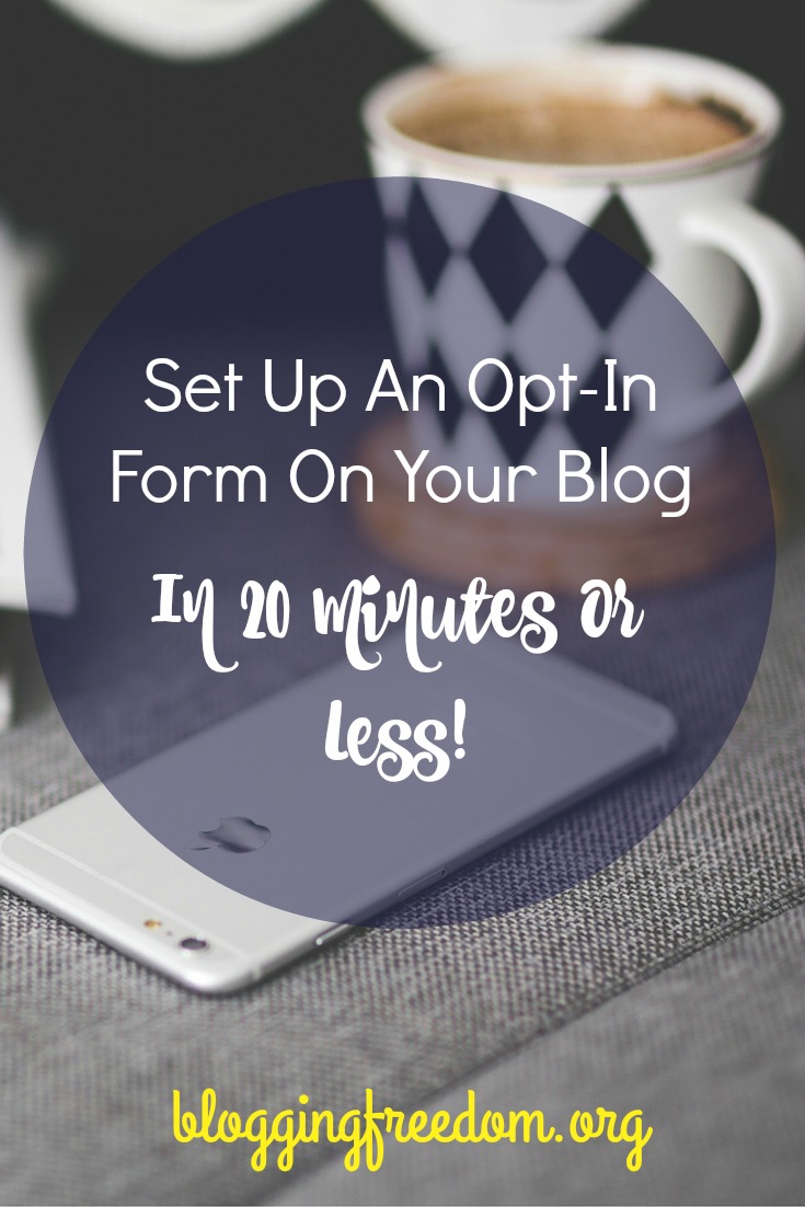 How to install an opt-in form on your blog!
