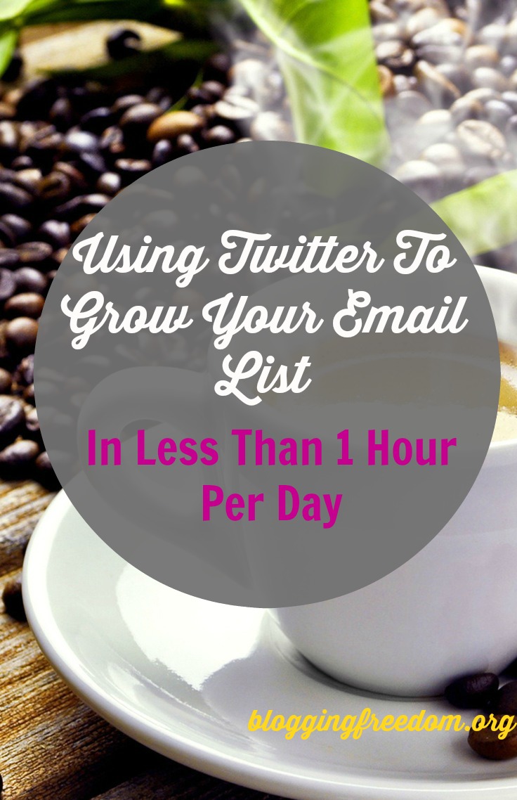 Grow your email list with Twitter!