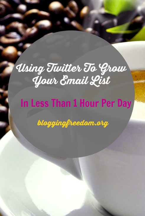 Grow your email list with Twitter!